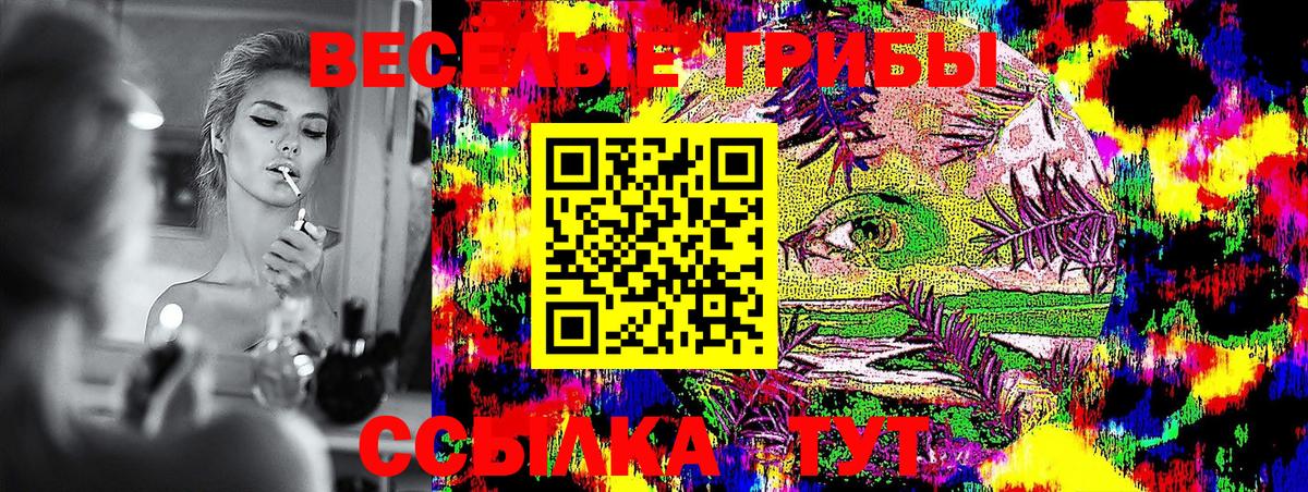 Нефтекамск  закладка  Вход с VPN  Галлюциногенные грибы Psilocybine cubensis 